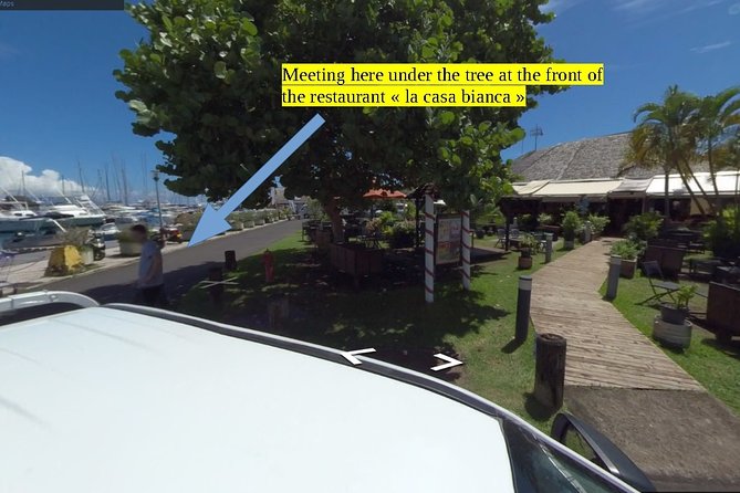 Small group snorkeling (5 people max): Turtles at 7:30am - Why this small Tahiti snorkeling trip works so well