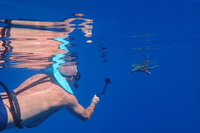 Small group snorkeling (5 people max): Turtles at 7:30am - What the included gear and photos are worth