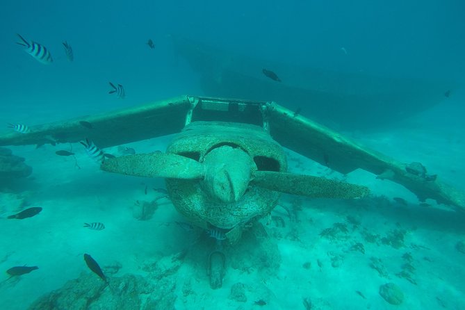 Small group snorkeling (5 people max): wrecks & tropical fishes at 1:00pm - Exploring the plane and two boats