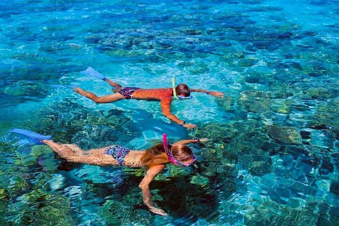 Small group snorkeling (5 people max): wrecks & tropical fishes at 10:30am - Weather, water, and the limits of the plan