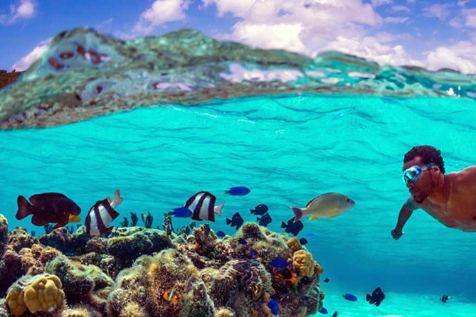 Small group snorkeling (5 people max): wrecks & tropical fishes at 10:30am - Practical preparation for the 10:30 a.m. start