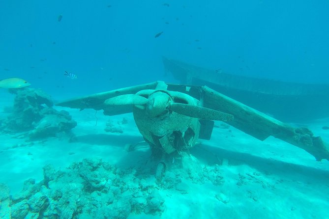 Small group snorkeling (5 people max): wrecks & tropical fishes at 3:30pm - Key Points at a Glance