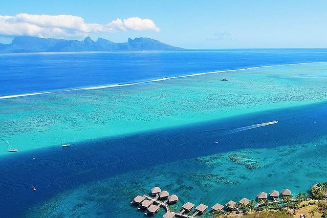 Small group snorkeling (5 people max): wrecks & tropical fishes at 3:30pm - Why a Five-Person Limit Matters