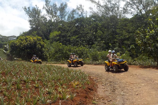 Small Quad Tour 2h30 Quad excursion in Moorea (single or two-seater) - Quick points before you book