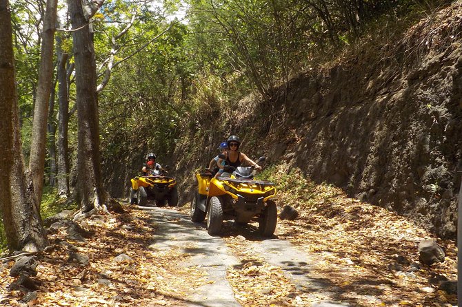 Small Quad Tour 2h30 Quad excursion in Moorea (single or two-seater) - Belvedere: the payoff above Cook and Opunohu bays