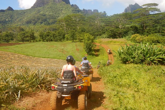 Small Quad Tour 2h30 Quad excursion in Moorea (single or two-seater) - Rain gear, photos, and other useful extras