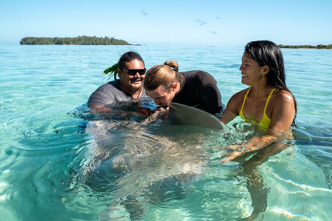 Snorkeling excursion and encounter with marine fauna in Moorea - Setting out from the cruise quay at 9 a.m.