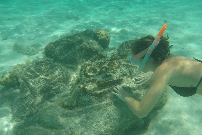 Snorkeling excursion and encounter with marine fauna in Moorea - Rays and black-tip reef sharks in clear water