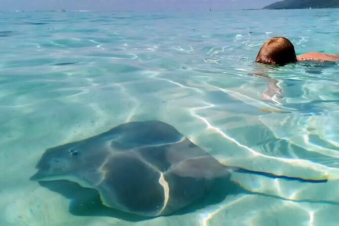 Snorkeling excursion and encounter with marine fauna in Moorea - Lunch with your feet in the lagoon