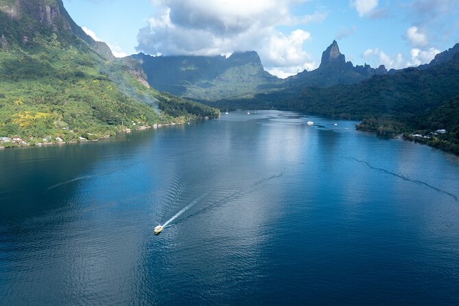 Snorkeling excursion and encounter with marine fauna in Moorea - The guides make the wildlife easier to understand