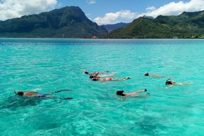 Snorkeling excursion and encounter with marine fauna in Moorea - Comfort, equipment, and physical demands