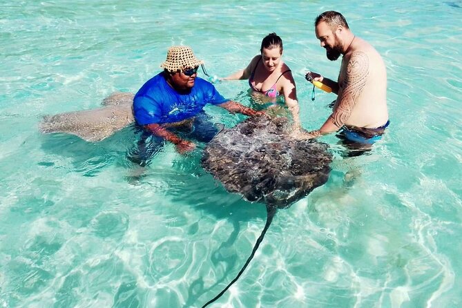 Snorkeling excursion and encounter with marine fauna in Moorea - The first snorkeling stop: fish and coral