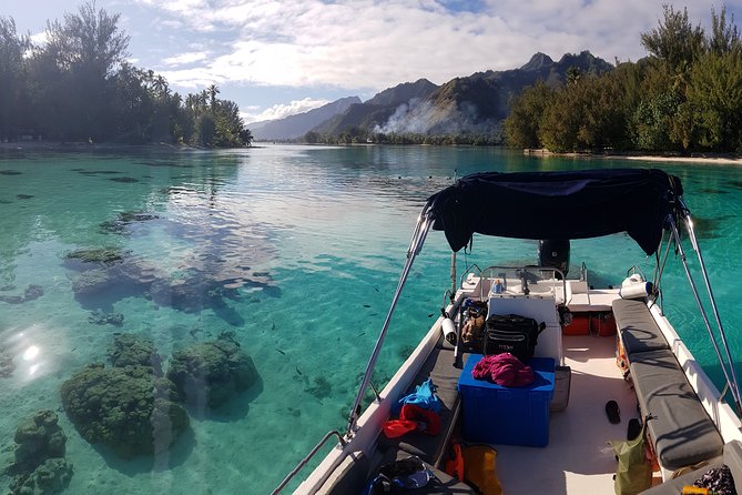 Snorkeling excursion, discovery of the lagoon, small group. - Five things to know before you book