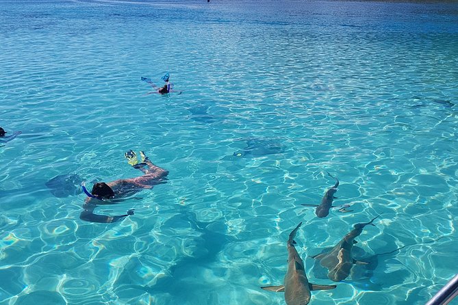 Snorkeling excursion, discovery of the lagoon, small group. - Four stops, four ways to see the lagoon
