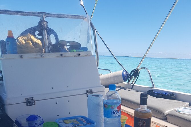 Snorkeling excursion, discovery of the lagoon, small group. - Alex’s guiding style