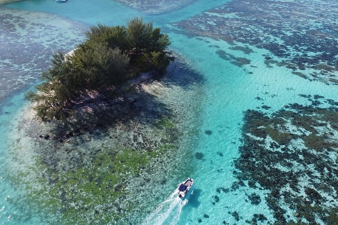 Snorkeling excursion, discovery of the lagoon, small group. - Who should choose this excursion?