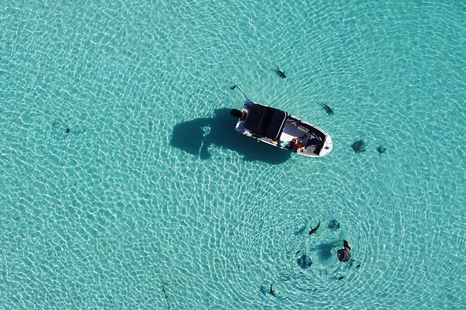 Snorkeling excursion, discovery of the lagoon, small group. - Practical details before you go