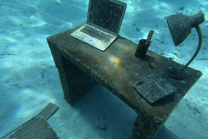 Snorkeling picnic in 4h30 with lunch in Tahiti - Coral gardens, freshwater springs, and turtles
