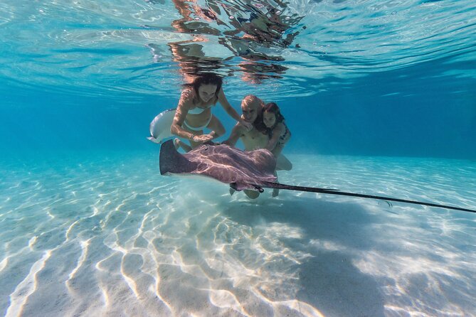 Snorkeling Tour in Moorea Aquatic Adventure Half Day - Setting Out From Opunohu Marina