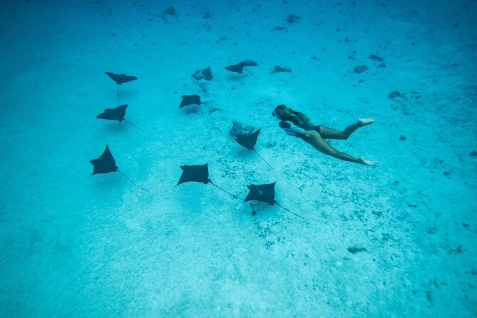 Snorkeling Tour in Moorea Aquatic Adventure Half Day - Drinks, Equipment, and Comfort on Board