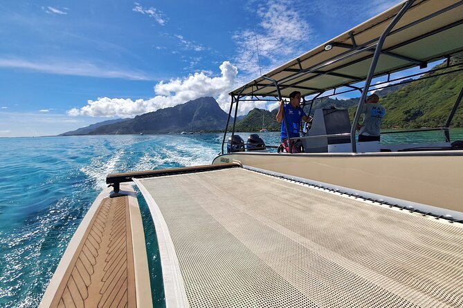 Snorkeling Tour in Moorea Aquatic Adventure Half Day - Who Should Book This Moorea Snorkeling Trip?