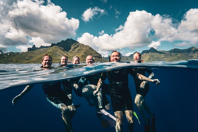 Snorkeling Tour in Moorea Aquatic Adventure Half Day - Coral, Fish, Rays, and Reef Sharks