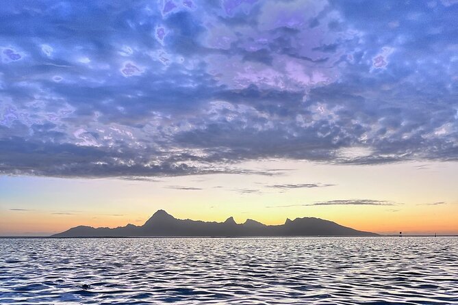 Sunset Cruise in Tahiti - A coral garden with fish, rays, and turtles