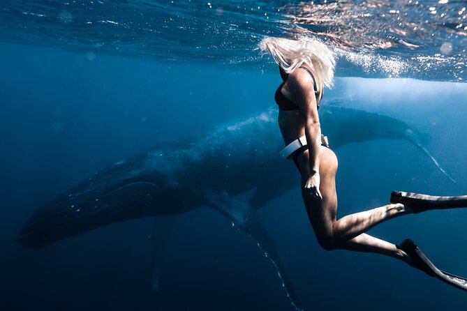 Swimming with Whales in Moorea (Half Day tour) - Photos, wetsuits, and what to pack