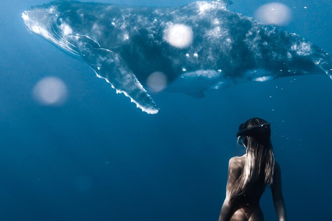 Swimming with Whales in Moorea (Half Day tour) - Is $305.30 a fair price?