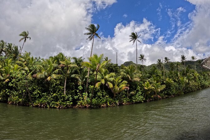 Taha'a Island or Raiatea Boat Tour - Iaorana Pearl Farm and the most praised visit