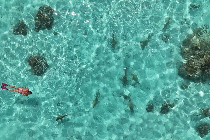 Taha'a Island or Raiatea Boat Tour - Lunch on a private motu