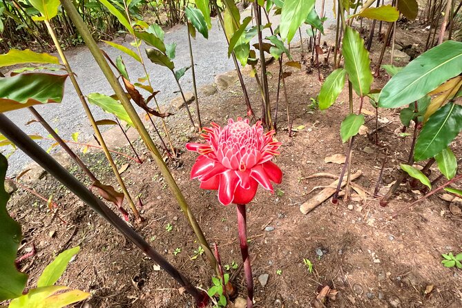 Taha'a Island or Raiatea Boat Tour - The small group makes a real difference