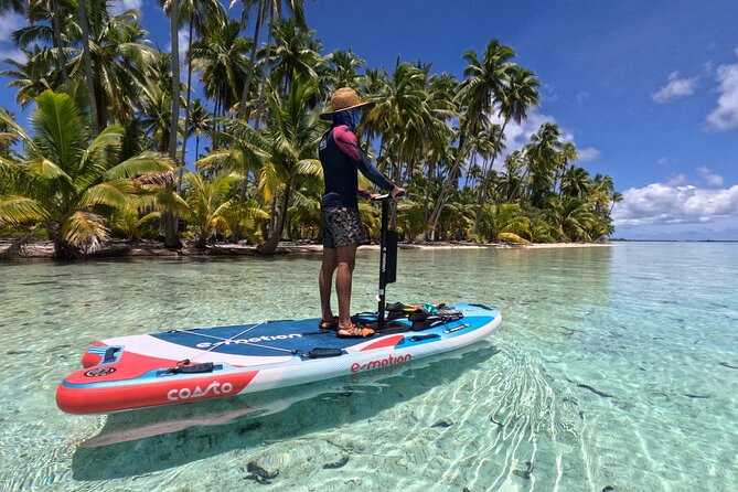 Tahaa Excursion in Electric Paddle Snorkeling Coral Garden - Key things to know before booking