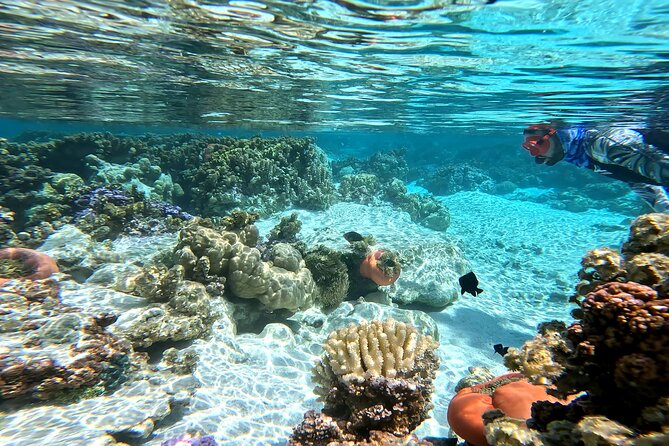 Tahaa Excursion in Electric Paddle Snorkeling Coral Garden - Why the electric paddleboard matters on Taha’a