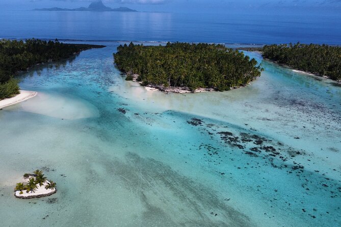 Tahaa Excursion in Electric Paddle Snorkeling Coral Garden - The Coral Garden is the main reason to go
