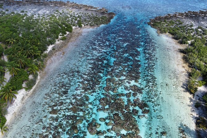 Tahaa Excursion in Electric Paddle Snorkeling Coral Garden - The snack break near a motu