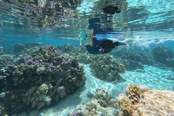 Tahaa Excursion in Electric Paddle Snorkeling Coral Garden - What is included, and what you should bring