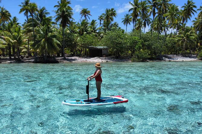 Tahaa Excursion in Electric Paddle Snorkeling Coral Garden - Afternoon, private, and alternative arrangements