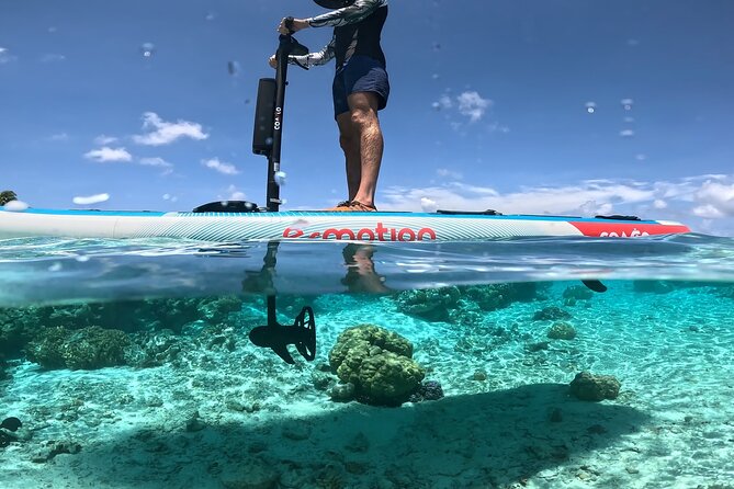 Tahaa Excursion in Electric Paddle Snorkeling Coral Garden - The morning route from 8:30 to 11:30