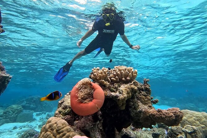 Tahaa: Kayaking Rental - Coral Garden - Snorkeling - Arriving at the Coral Garden