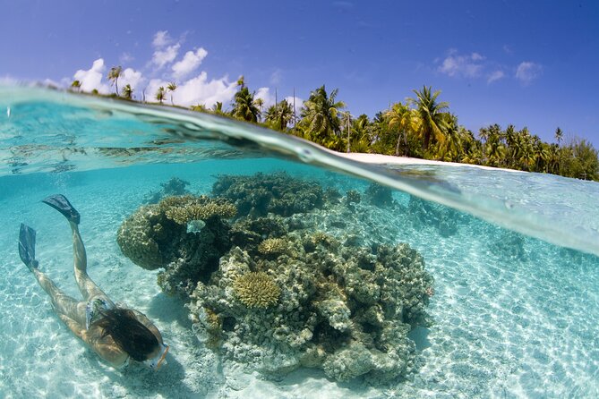 Tahaa Lagoon Tour -Departure Raiatea-Small groups (max 12 p) - Tau Tau Coral Garden: the water portion