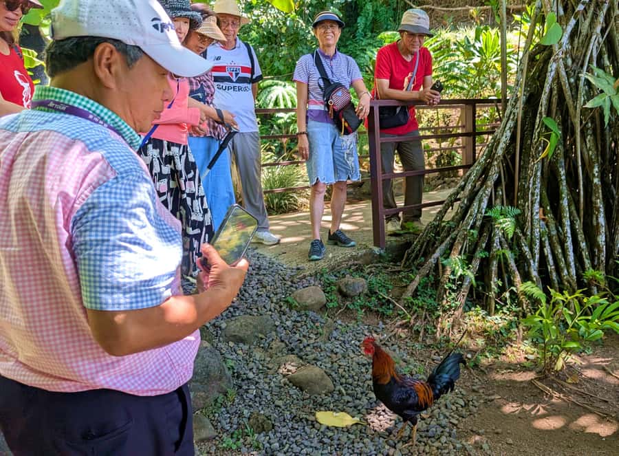 Tahiti Classical Coastal Full Day Private Tour - Maraa Caves and Taharuu’s black sand