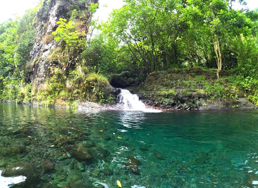 Tahiti E-bike, mtb, vtt Tour with Swimming and Lunch - Key points to know before you book
