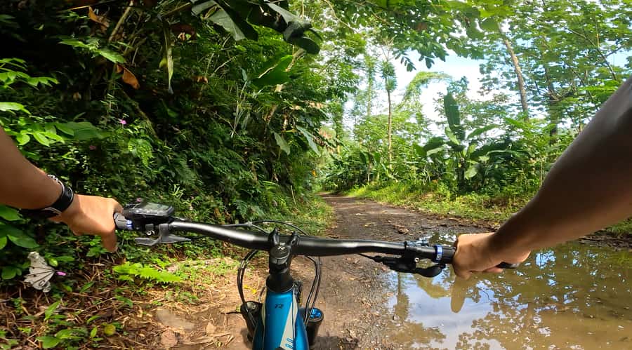 Tahiti E-bike, mtb, vtt Tour with Swimming and Lunch - Who will enjoy this outing most?