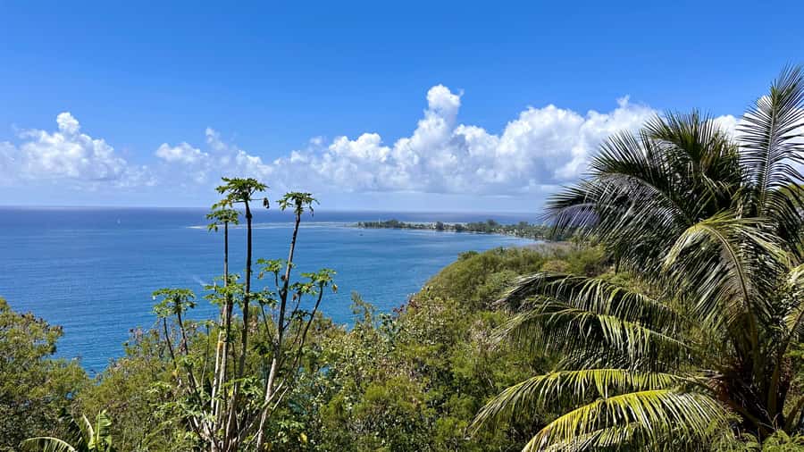 Tahiti: East or West coast tour (Half Day) - Two coasts, two very different Tahiti days