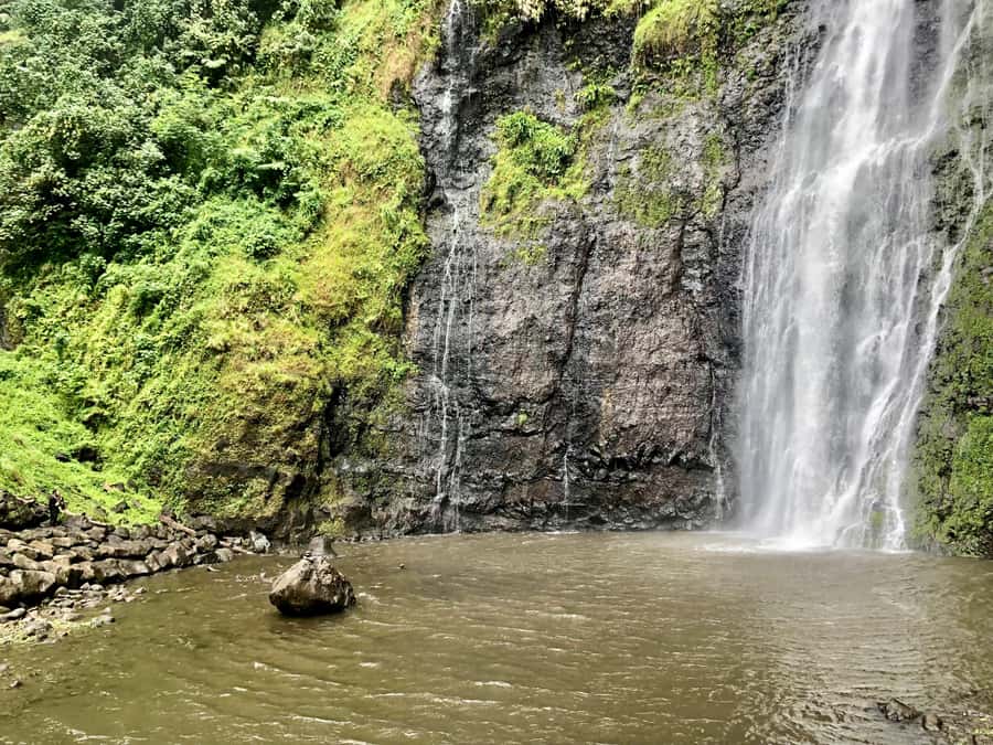 Tahiti: East or West coast tour (Half Day) - The west coast: beaches, caves, surf, and gardens