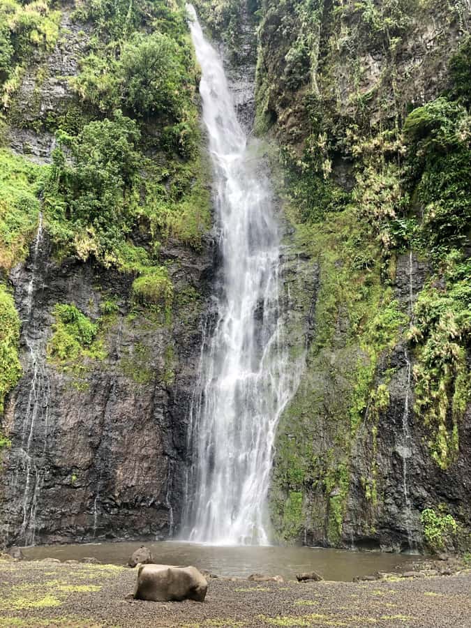 Tahiti: East or West coast tour (Half Day) - A guide who shapes the experience