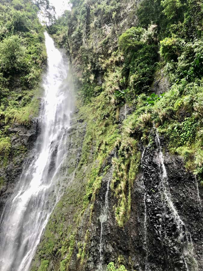 Tahiti: East or West coast tour (Half Day) - Is $550 good value for your group?