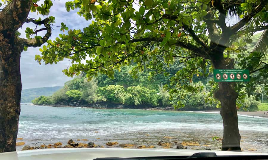 Tahiti: East or West coast tour (Half Day) - Who should book this half-day tour?