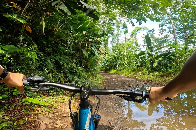 Tahiti excursion adventure circuit MTB MTB E-Bike private valley - Lunch beside the first swimming basin